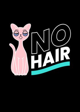 No Hair Sphynx Cat