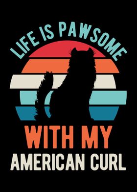 Funny American Curl Cat