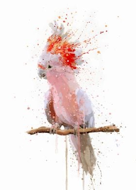 Cockatoo Pink Majesty