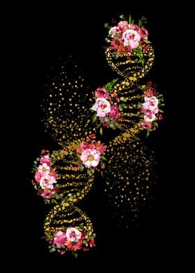 DNA double helix 