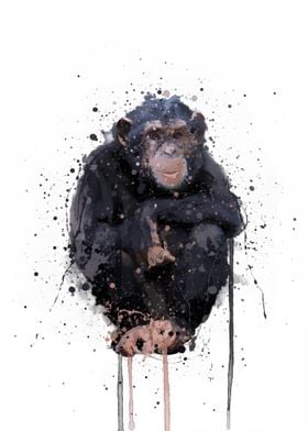 chimpanzee