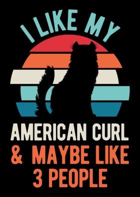 Funny American Curl Cat