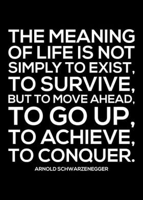 Go Up Achieve Conquer