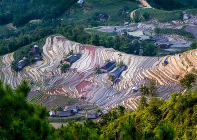 Amazing rice terraces