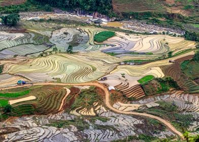 Ethnic farmers rice fields