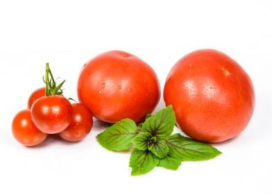 wet tomatoes crops