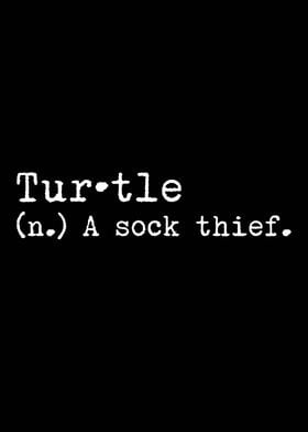 Turtle A Sock Thief 