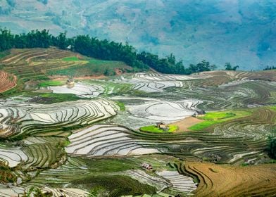 Ethnic farmers rice fields