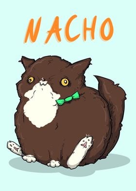 Nacho The Cat