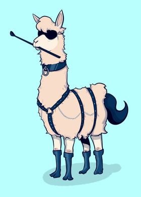 Party Llama