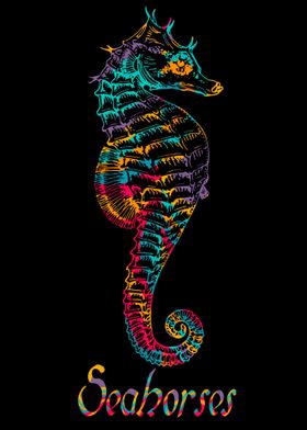 colorful seahorses