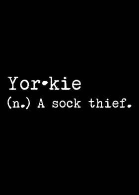 Yorkie Dog A Sock Thief