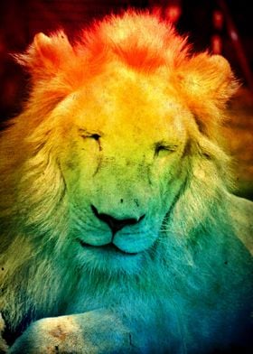 Rainbow Lion