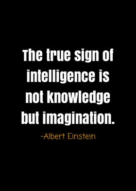 Albert Einstein quotes 