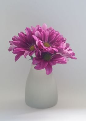 flowers daisies vase