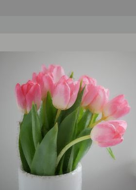 tulips spring flower