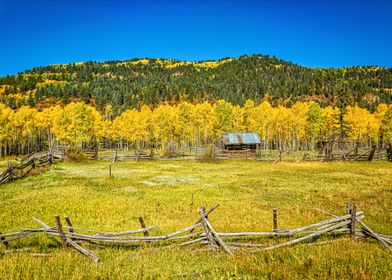 Cumbres and Toltec Rail