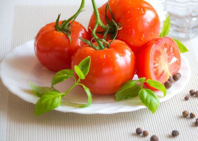 tomatoes plant plate