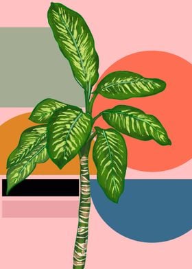 Bauhaus Retro Dumb Cane