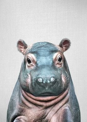 Baby Hippo Colorful