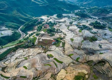 Watered rice terraces