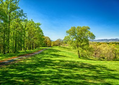 Appalachian Mountain Trail