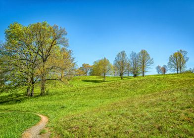 Appalachian Mountain Trail