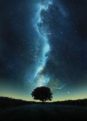 Cosmic tree version 4