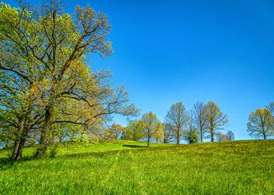 Appalachian Mountain Trail