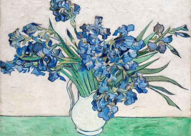 Vincent Van Goghs Irises 