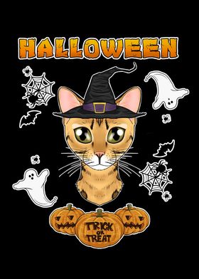 Bengal Cat Halloween