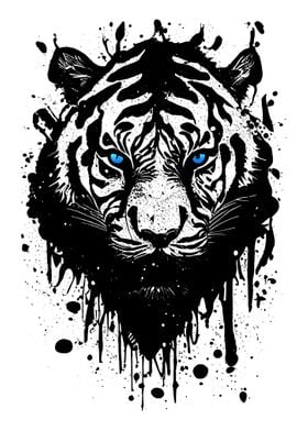 Tiger with blue eyes