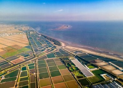 Coastal shrimp farms