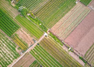 Aerial view of meadows