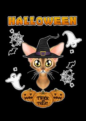 Abyssinian Cat Halloween