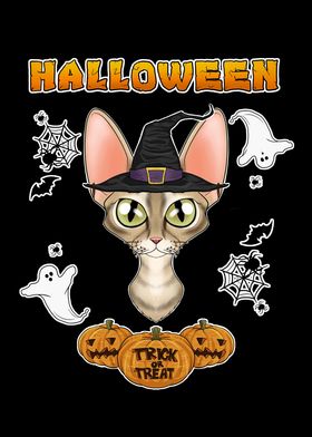 Devon Rex Cat Halloween