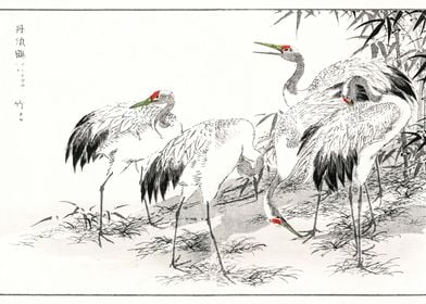 Flamingo Swan Japanese Art
