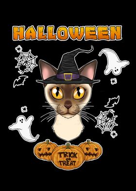 Burmese Cat Halloween