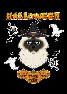 Birman Cat Halloween