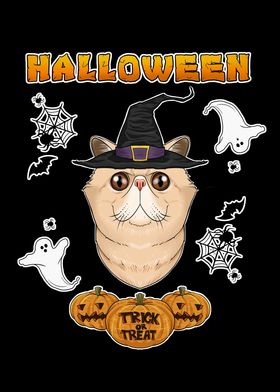 Exotic Shorthair Halloween