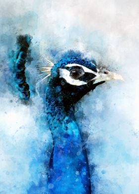 Watercolor peacock bird