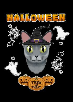 Russian Blue Cat Halloween