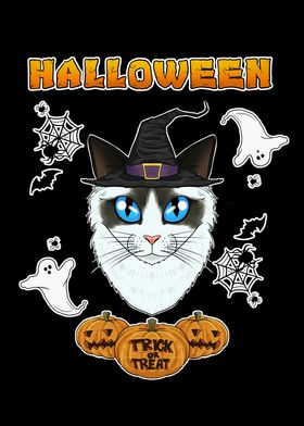 Ragdoll Cat Halloween