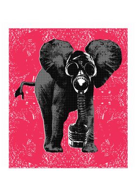 elephant in pollution