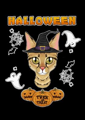 Savannah Cat Halloween