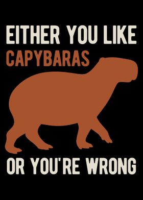 Funny Capybara