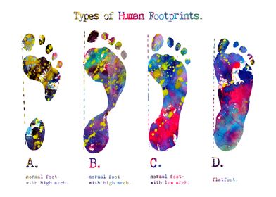 Types of Footprints 