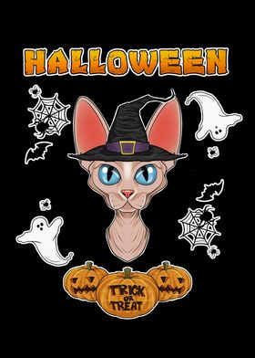 Sphynx Cat Halloween