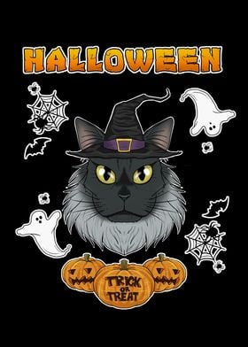 Maine Coon Cat Halloween