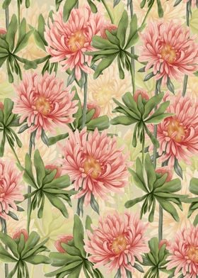 Aster Flower Pattern 01